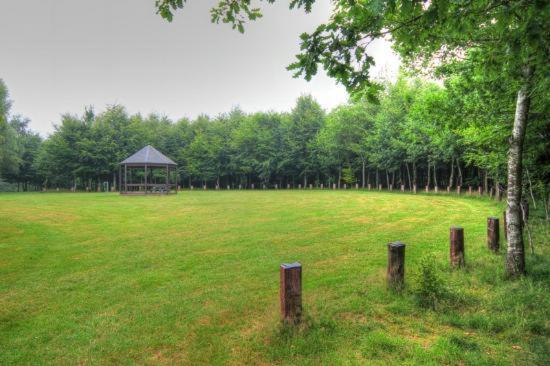 Gîte citadin 3 épis CARPE DIEM Bastogne Esterno foto