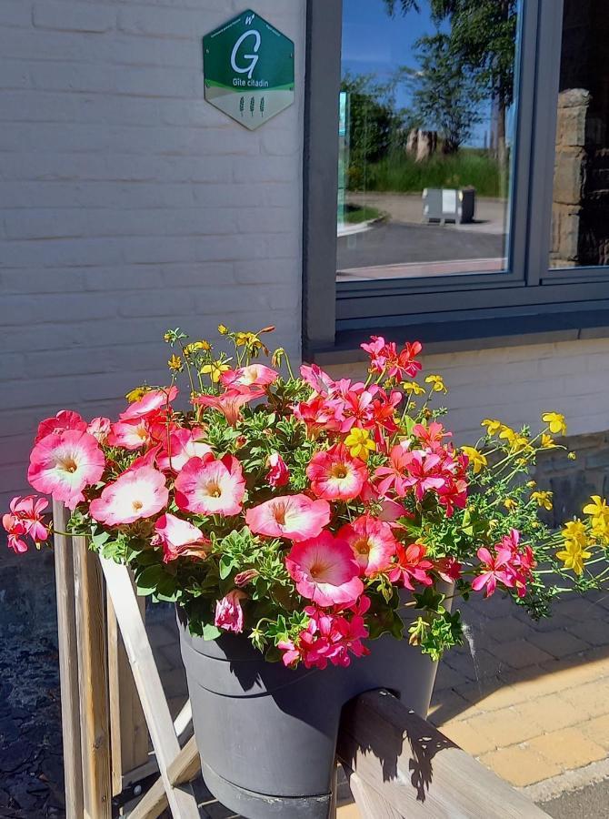 Gîte citadin 3 épis CARPE DIEM Bastogne Esterno foto