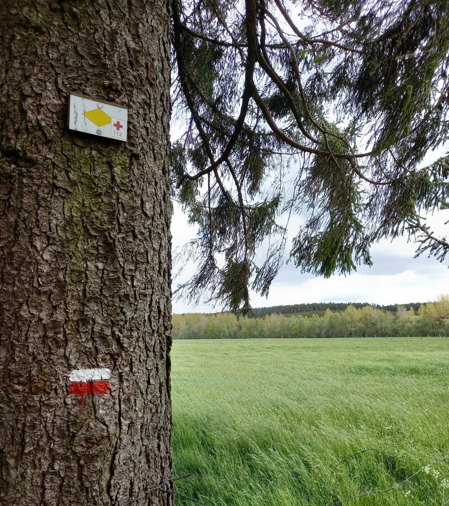 Gîte citadin 3 épis CARPE DIEM Bastogne Camera foto